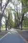 Lovely Lane in Fitzroy Park